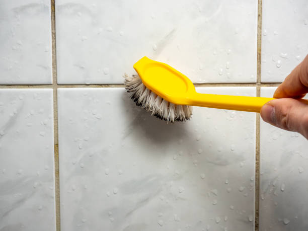 Reliable Blossom, TX Mold Remediation Solutions