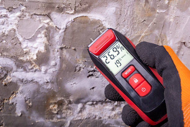  Blossom, TX Mold Removal Pros